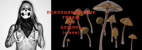 трава Белокуриха