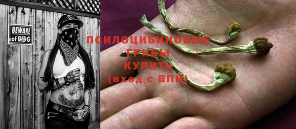 стаф Белоозёрский