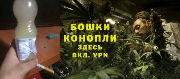 трава Белокуриха