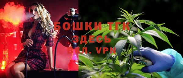 стаф Белоозёрский