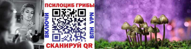 Галлюциногенные грибы MAGIC MUSHROOMS Купить закладки Тайга